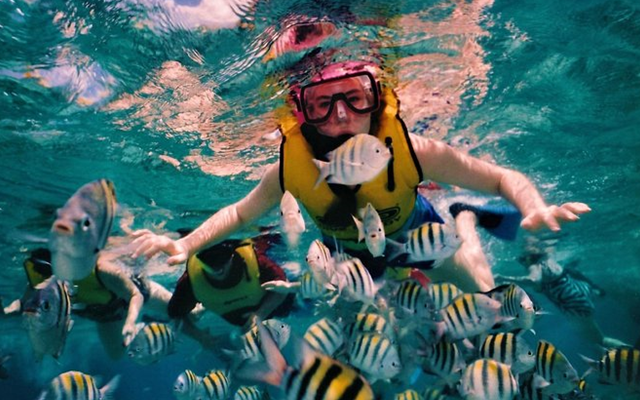 Half Day Lagoon Fishing and Snorkelling